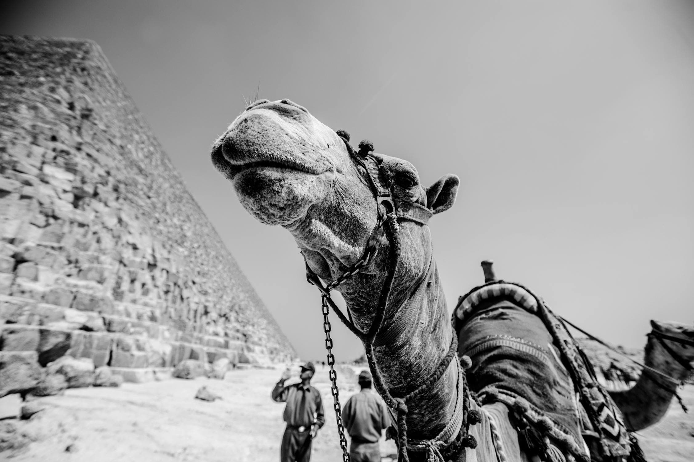 Cairo, Luxor & Red Sea Signature Journey – 6 Days