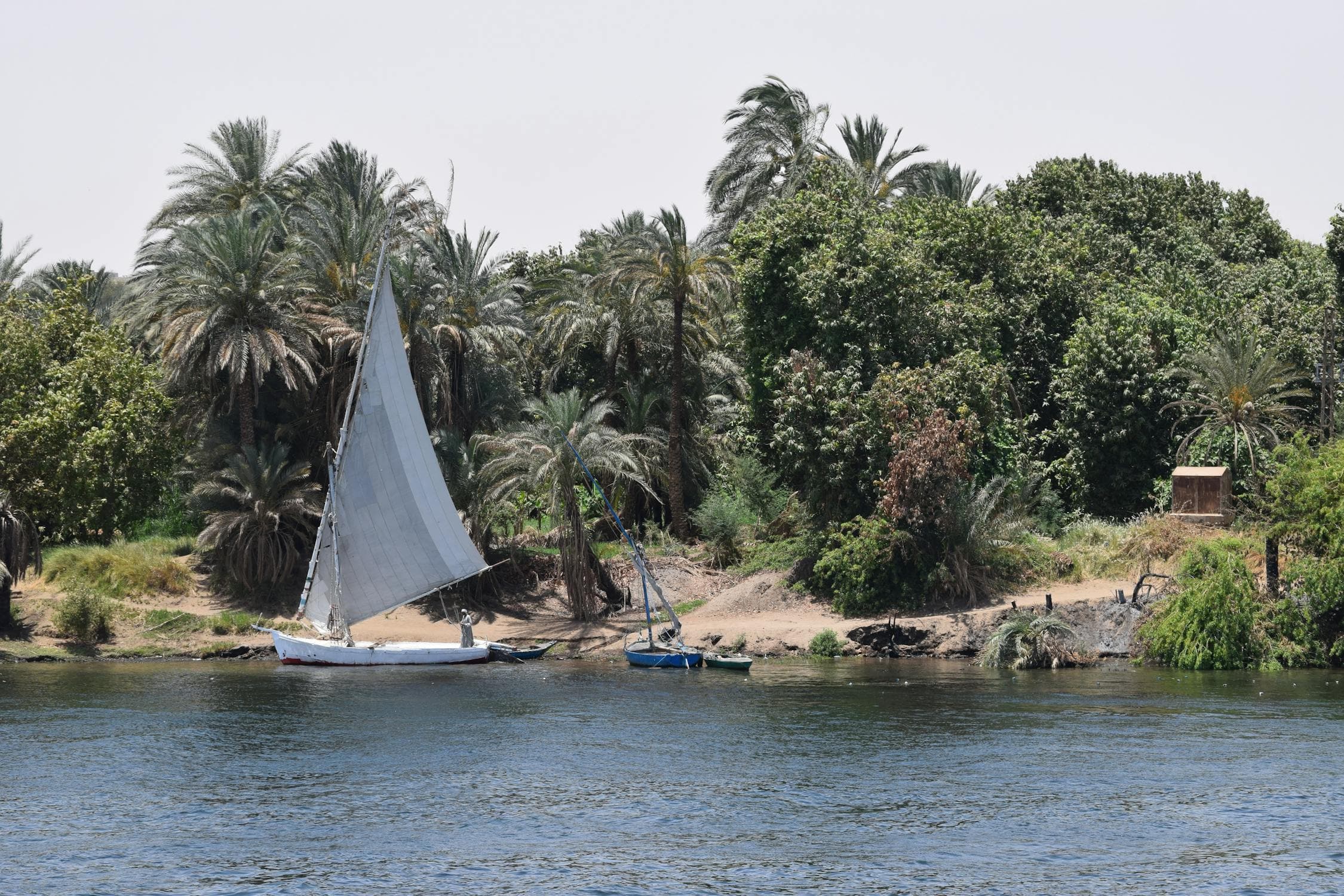 10-Day Heritage of Egypt & Red Sea Resort: Nile Wonders to Alexandria